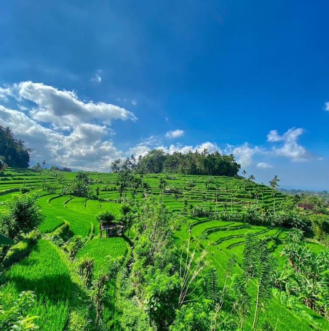 jalur-pendakian