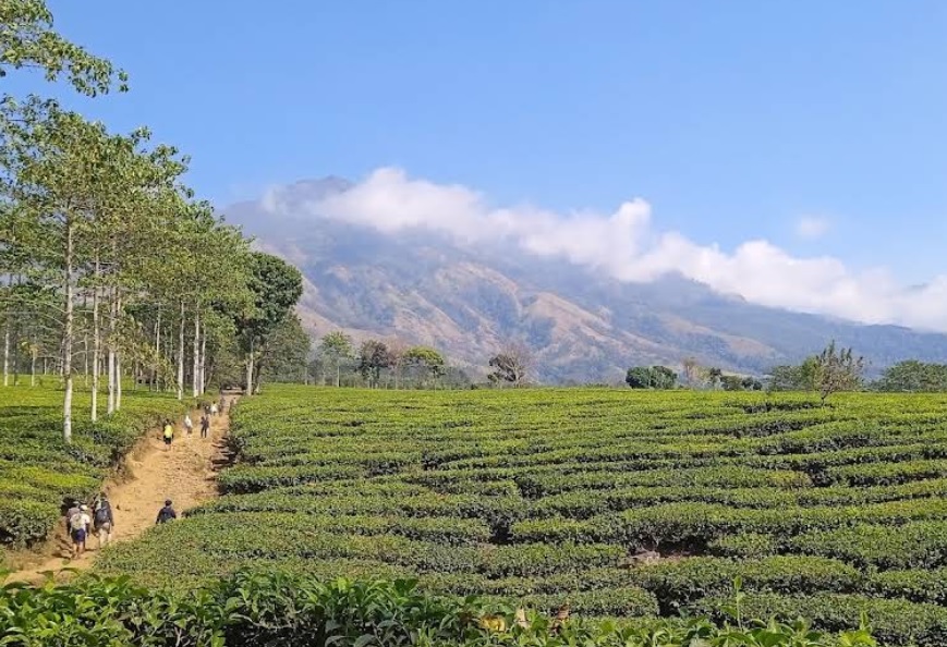 jalur-pendakian