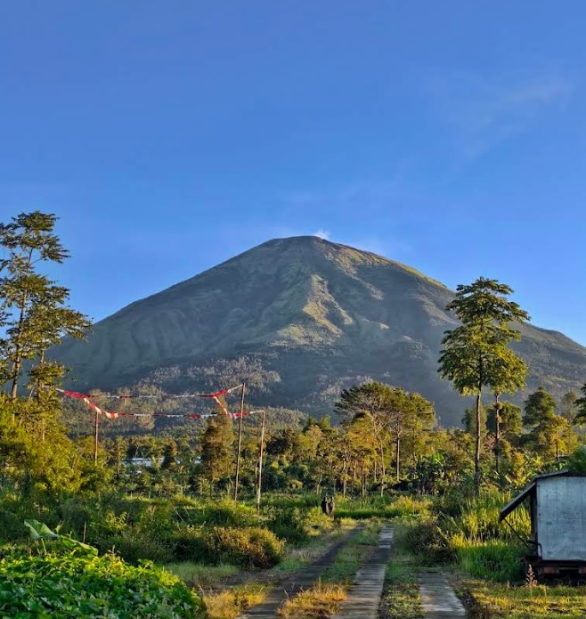 Mount Sindoro via Watu Lunyu
