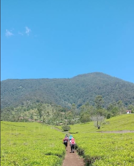 jalur-pendakian