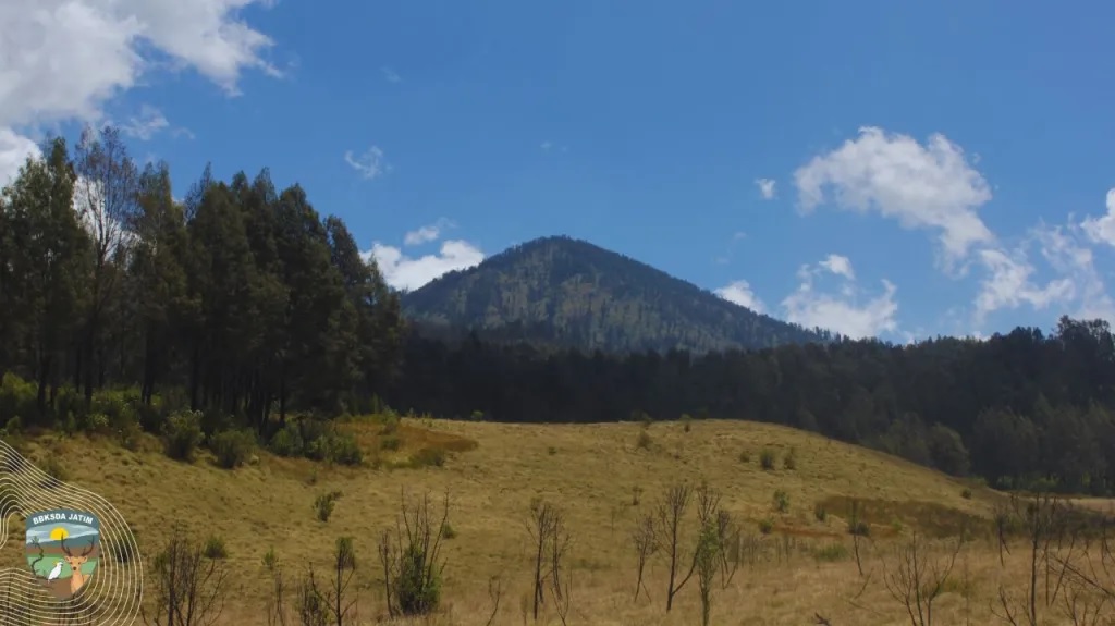 jalur-pendakian