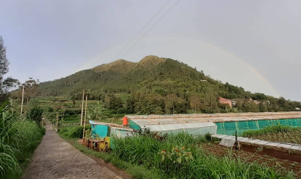 Andong via Pendem