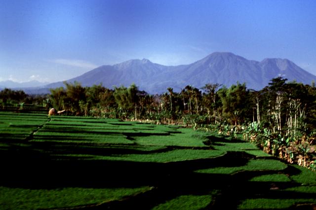 jalur-pendakian