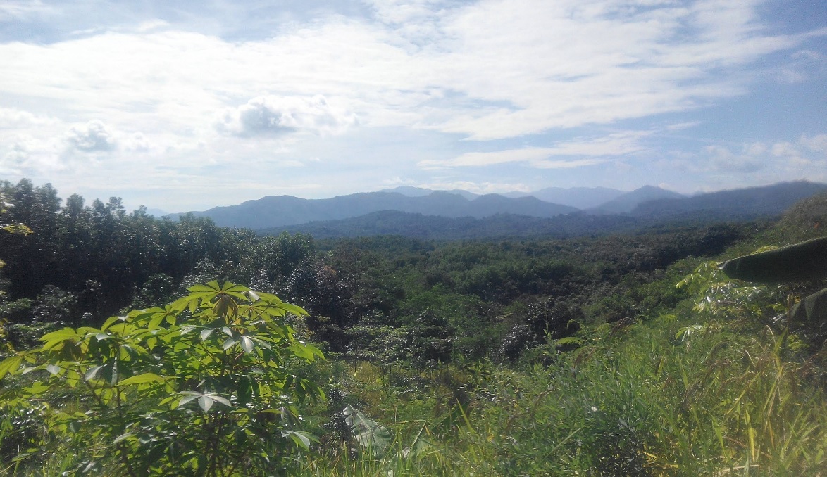 jalur-pendakian