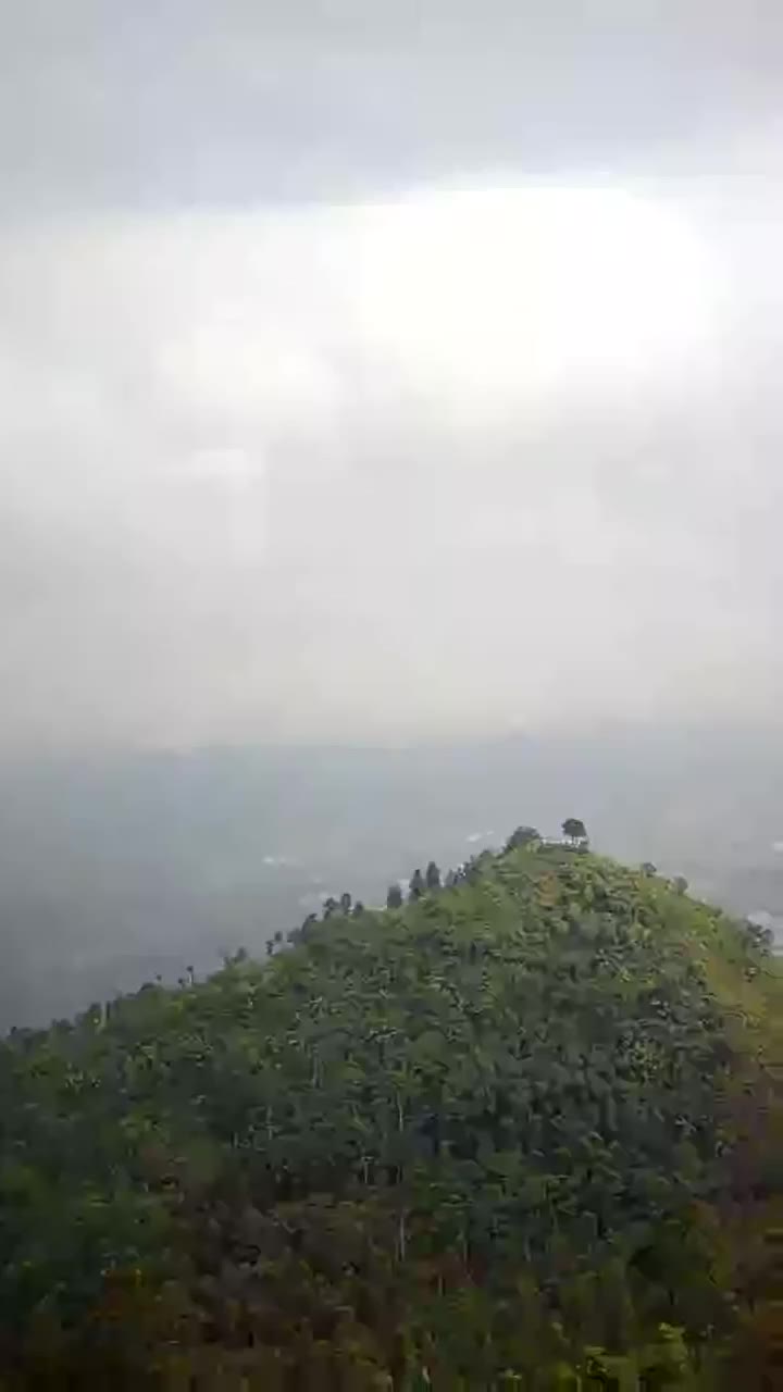 Bambangan