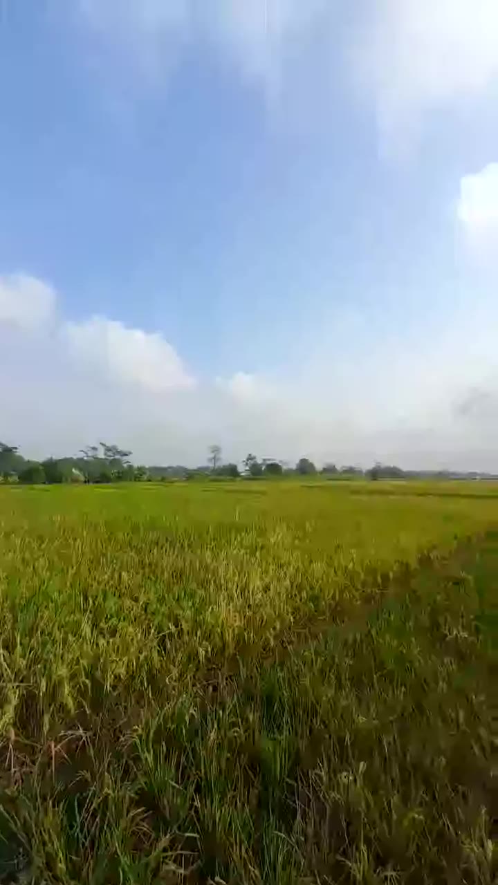 Baturraden