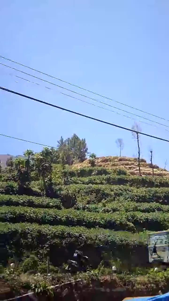 Patak Banteng